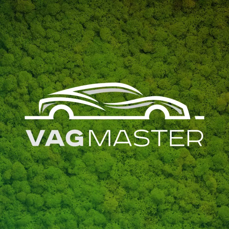 СТО VAG Master фото 1