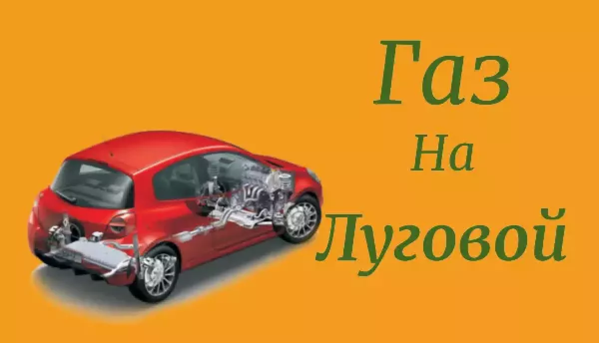Газ На Луговой фото 1