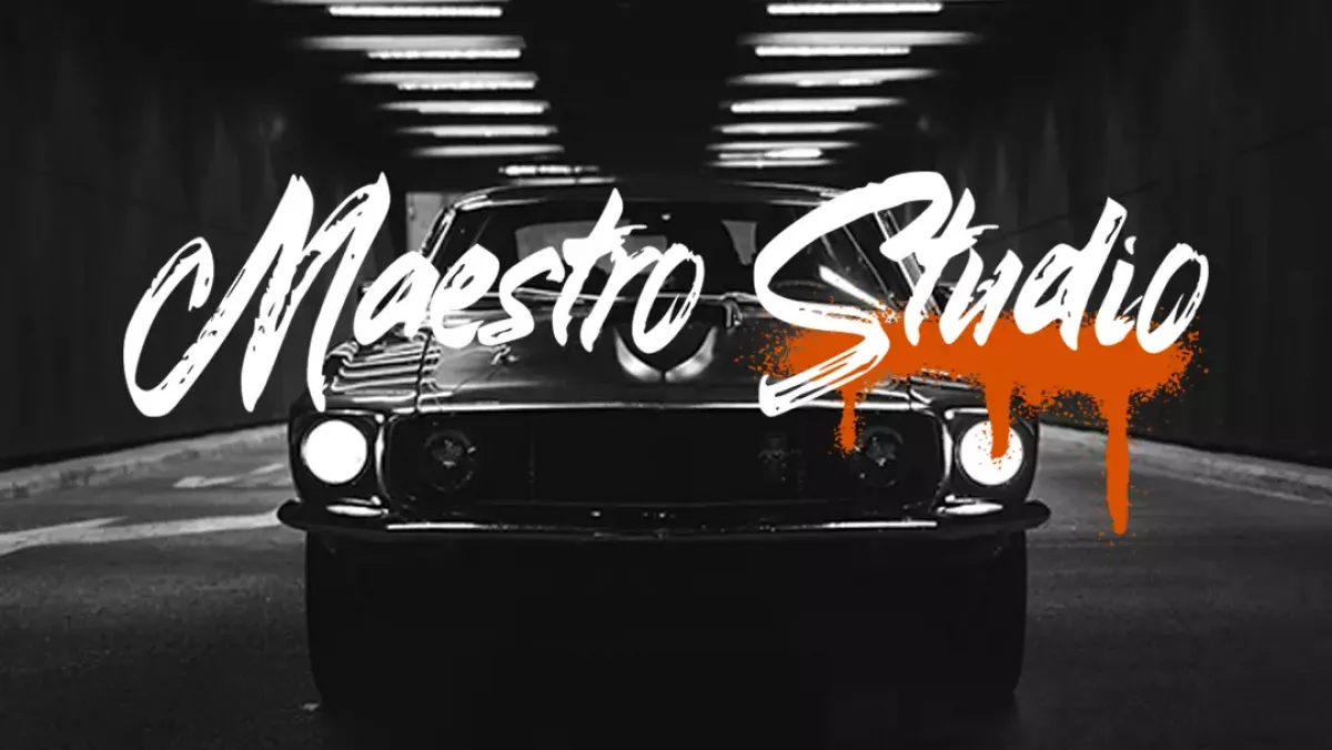 Maestro studio - видалення вмятин PDR (витягування вм’ятин Львів) фото 1