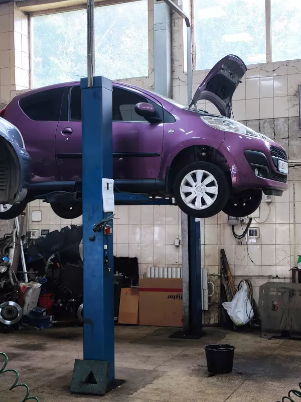 Автовектор СТО фото 1