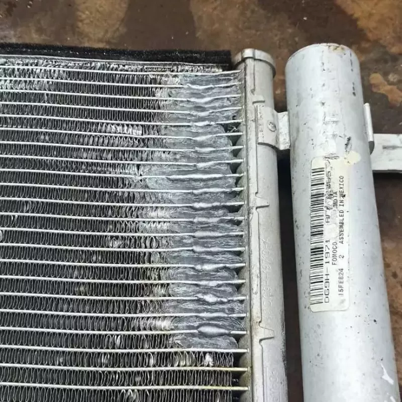 ARES radiator servis фото 1