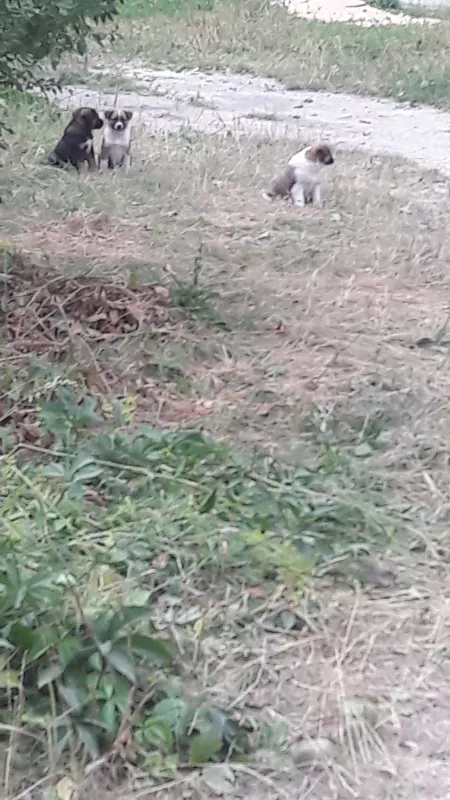 КООПЕРАТИВ АВТОСЕРВІС НІК фото 1
