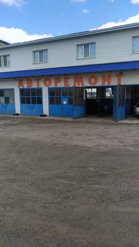 СТО Говтвянчик фото 1
