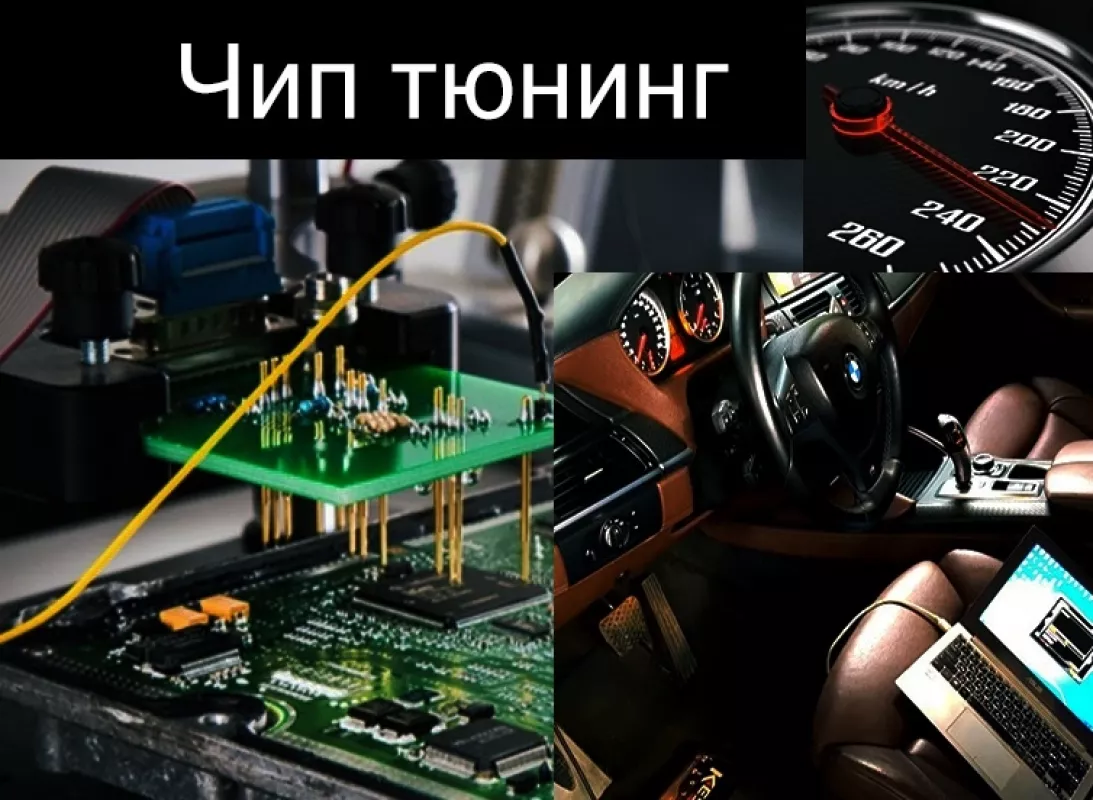chip-avtorace фото 1